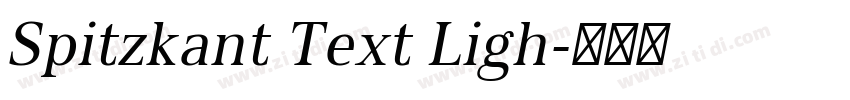 Spitzkant Text Ligh字体转换